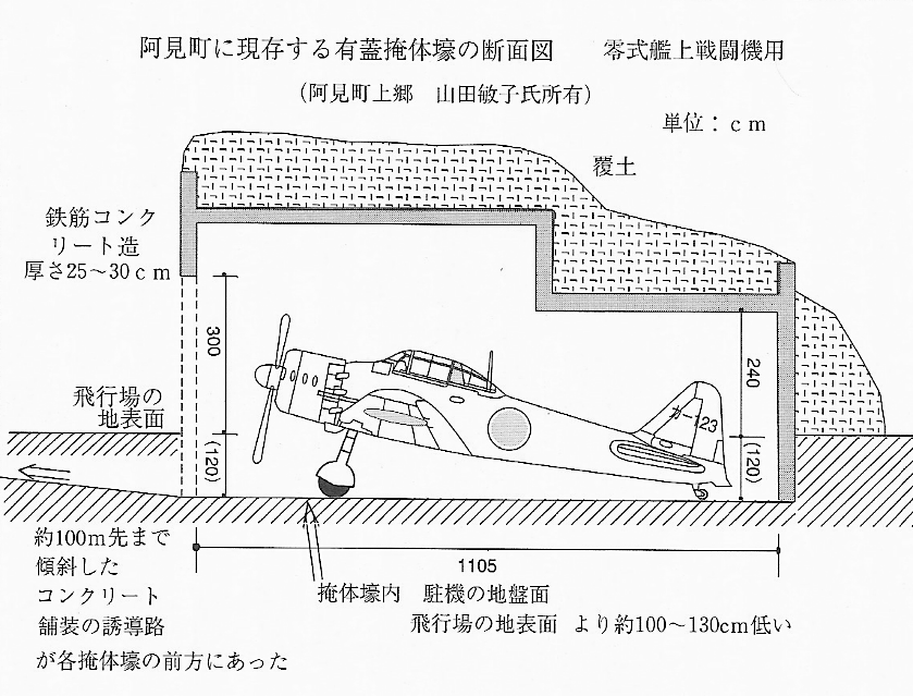 阿見町に現存する有蓋掩体壕の断面図（零式艦上戦闘機用）